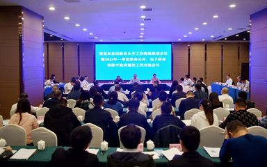 南充市召开全市基层政务公开工作现场推进会议暨2023年一季度政务公开、电子政务和数字政府建设工作交流会议