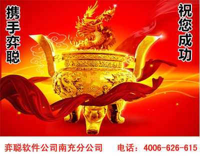 南充网站建设优秀品牌,南充软件公司软件开发行业的领头羊