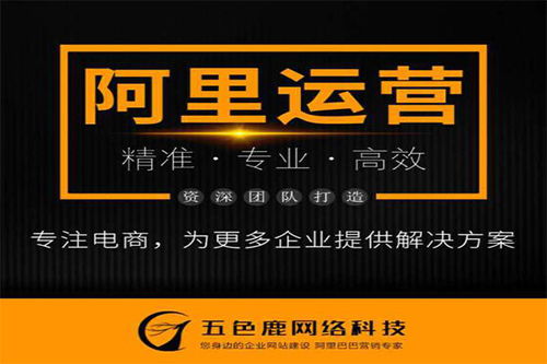 南充靠谱诚信通托管,阿里运营哪家好