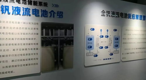 在这里,熊猫花花 萌出圈 ,石化力量更 出彩
