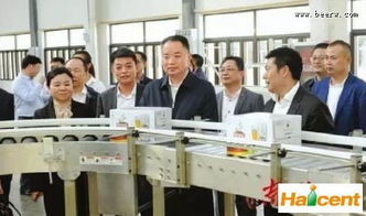 中国专业啤酒网站：啤酒行业门户与南充网站建设的关键融合