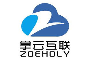 成都掌云互联 专业营销型网站建设,赋能南充企业数字化转型